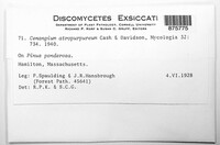 Image Associated With the Occurence
